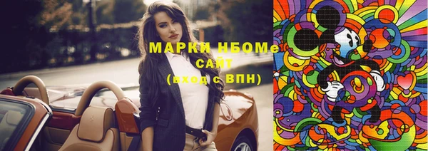 мет Алексин