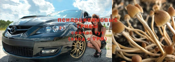 трава Алзамай