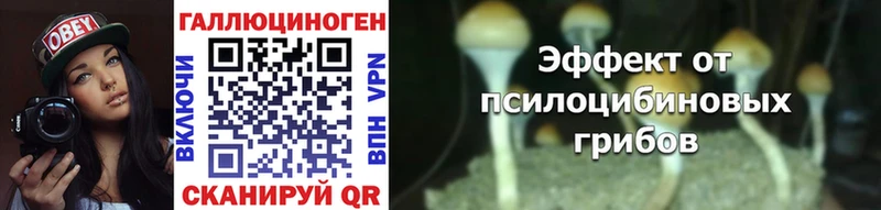 Купить закладки  Тетюши  Псилоцибиновые грибы мухоморы 
