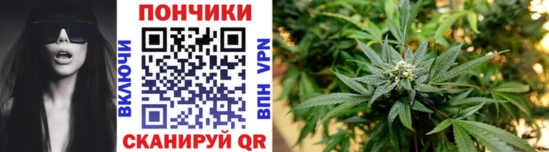 Купить где  Тетюши  Каннабис Amnesia 